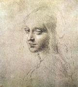 LEONARDO da Vinci Head of a girl oil on canvas